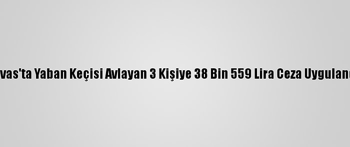 Sivas'ta Yaban Keçisi Avlayan 3 Kişiye 38 Bin 559 Lira Ceza Uygulandı