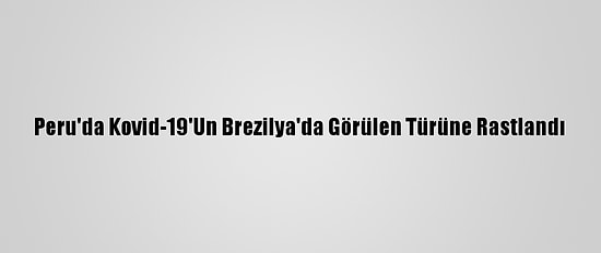 Peru'da Kovid-19'Un Brezilya'da Görülen Türüne Rastlandı