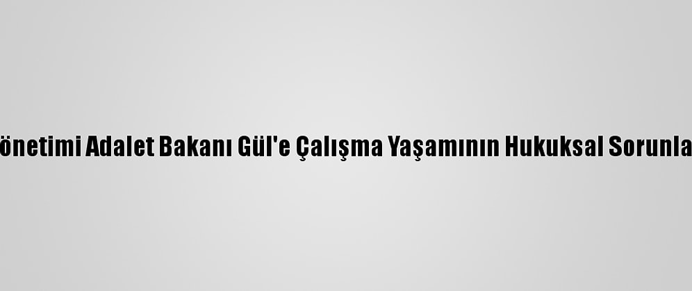 Türk-İş Yönetimi Adalet Bakanı Gül'e Çalışma Yaşamının Hukuksal Sorunlarını İletti