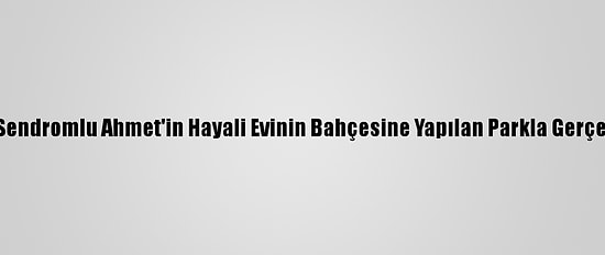 Down Sendromlu Ahmet'in Hayali Evinin Bahçesine Yapılan Parkla Gerçek Oldu