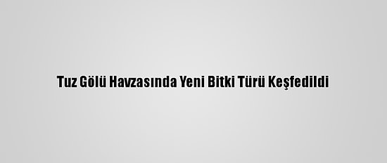 Tuz Gölü Havzasında Yeni Bitki Türü Keşfedildi