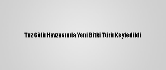 Tuz Gölü Havzasında Yeni Bitki Türü Keşfedildi