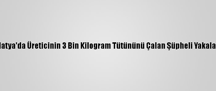 Malatya'da Üreticinin 3 Bin Kilogram Tütününü Çalan Şüpheli Yakalandı