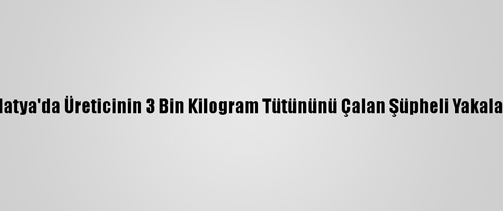 Malatya'da Üreticinin 3 Bin Kilogram Tütününü Çalan Şüpheli Yakalandı