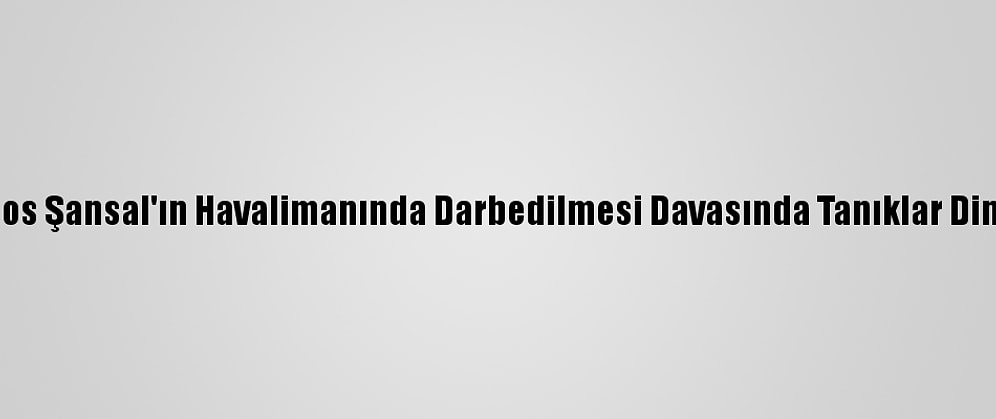 Barbaros Şansal'ın Havalimanında Darbedilmesi Davasında Tanıklar Dinlenildi