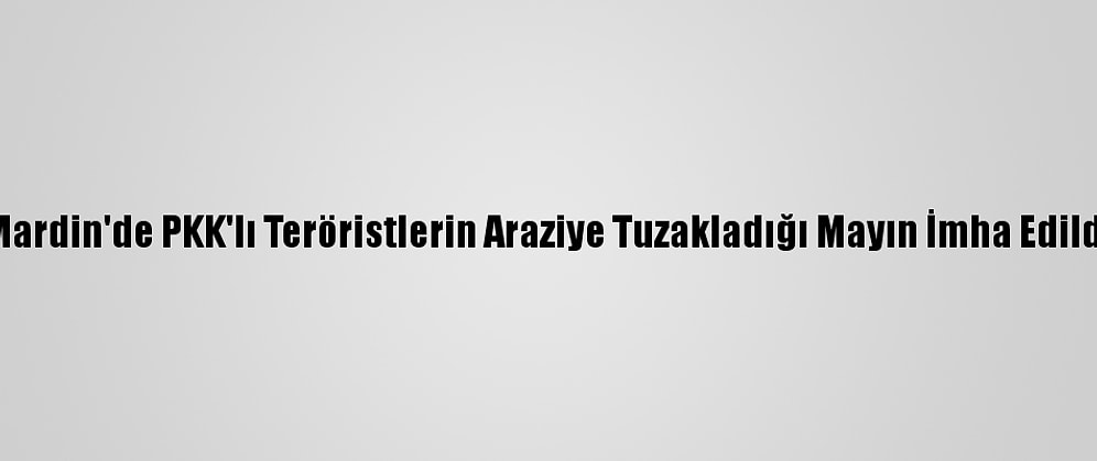 Mardin'de PKK'lı Teröristlerin Araziye Tuzakladığı Mayın İmha Edildi