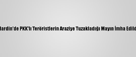 Mardin'de PKK'lı Teröristlerin Araziye Tuzakladığı Mayın İmha Edildi