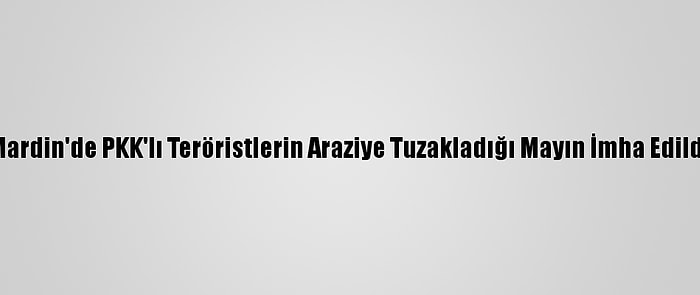 Mardin'de PKK'lı Teröristlerin Araziye Tuzakladığı Mayın İmha Edildi