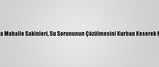Tokat'ta Mahalle Sakinleri, Su Sorununun Çözülmesini Kurban Keserek Kutladı