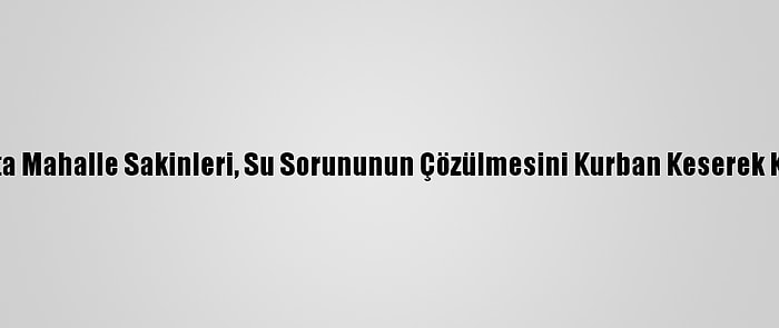 Tokat'ta Mahalle Sakinleri, Su Sorununun Çözülmesini Kurban Keserek Kutladı