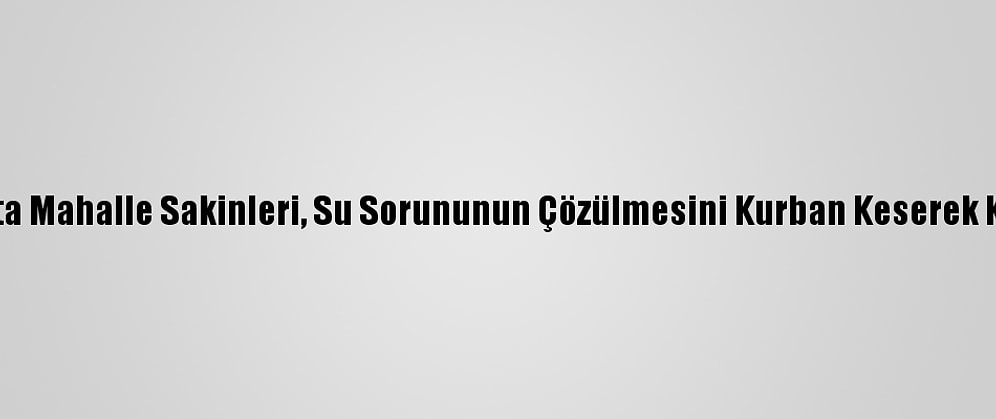 Tokat'ta Mahalle Sakinleri, Su Sorununun Çözülmesini Kurban Keserek Kutladı
