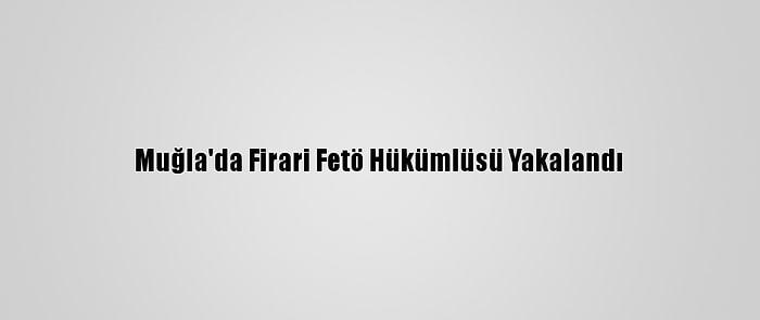 Muğla'da Firari Fetö Hükümlüsü Yakalandı