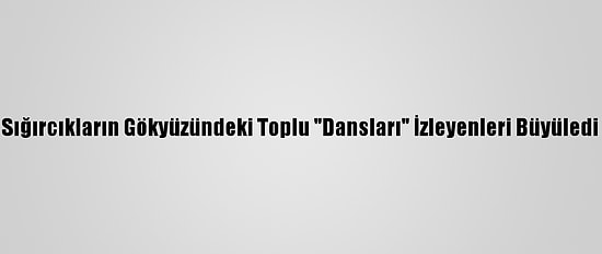Sığırcıkların Gökyüzündeki Toplu "Dansları" İzleyenleri Büyüledi