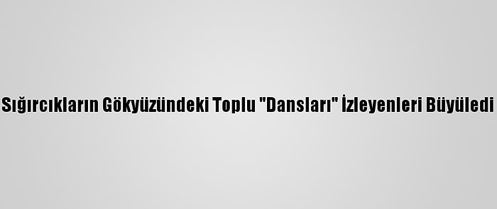 Sığırcıkların Gökyüzündeki Toplu "Dansları" İzleyenleri Büyüledi