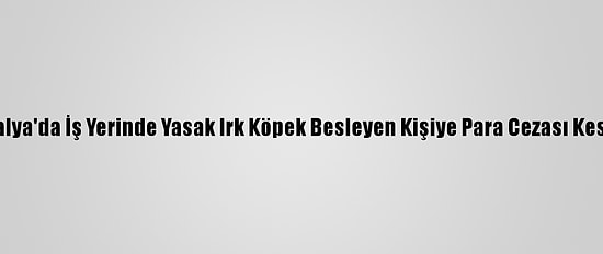 Antalya'da İş Yerinde Yasak Irk Köpek Besleyen Kişiye Para Cezası Kesildi