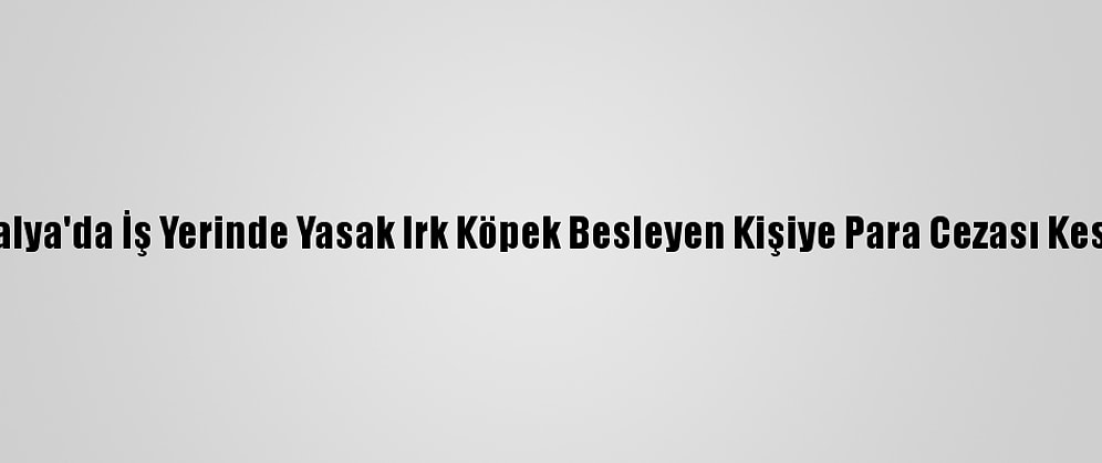 Antalya'da İş Yerinde Yasak Irk Köpek Besleyen Kişiye Para Cezası Kesildi