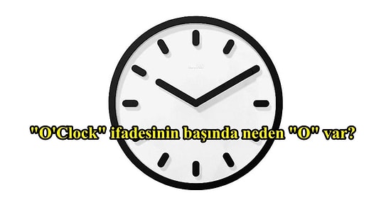 "Neden?" Sorusunu Sormayı Sevenleri Oldukça Tatmin Edecek 11 Aydınlatıcı Cevap