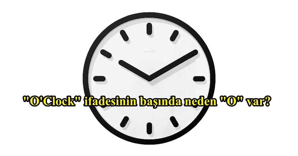 "Neden?" Sorusunu Sormayı Sevenleri Oldukça Tatmin Edecek 11 Aydınlatıcı Cevap