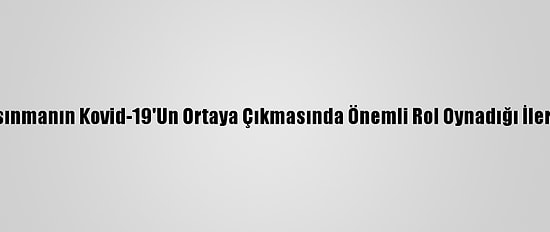 Küresel Isınmanın Kovid-19'Un Ortaya Çıkmasında Önemli Rol Oynadığı İleri Sürüldü