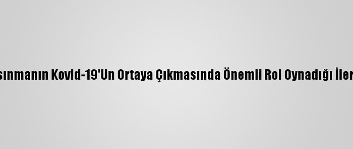 Küresel Isınmanın Kovid-19'Un Ortaya Çıkmasında Önemli Rol Oynadığı İleri Sürüldü