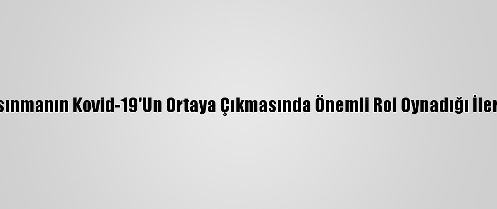 Küresel Isınmanın Kovid-19'Un Ortaya Çıkmasında Önemli Rol Oynadığı İleri Sürüldü