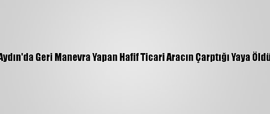 Aydın'da Geri Manevra Yapan Hafif Ticari Aracın Çarptığı Yaya Öldü