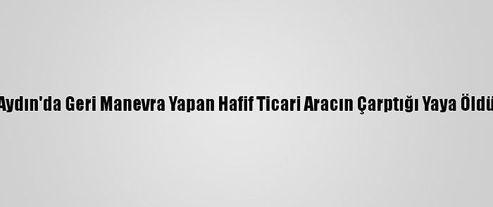 Aydın'da Geri Manevra Yapan Hafif Ticari Aracın Çarptığı Yaya Öldü