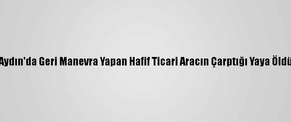 Aydın'da Geri Manevra Yapan Hafif Ticari Aracın Çarptığı Yaya Öldü