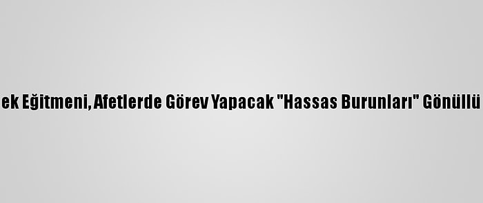 Duyarlı Köpek Eğitmeni, Afetlerde Görev Yapacak "Hassas Burunları" Gönüllü Yetiştiriyor