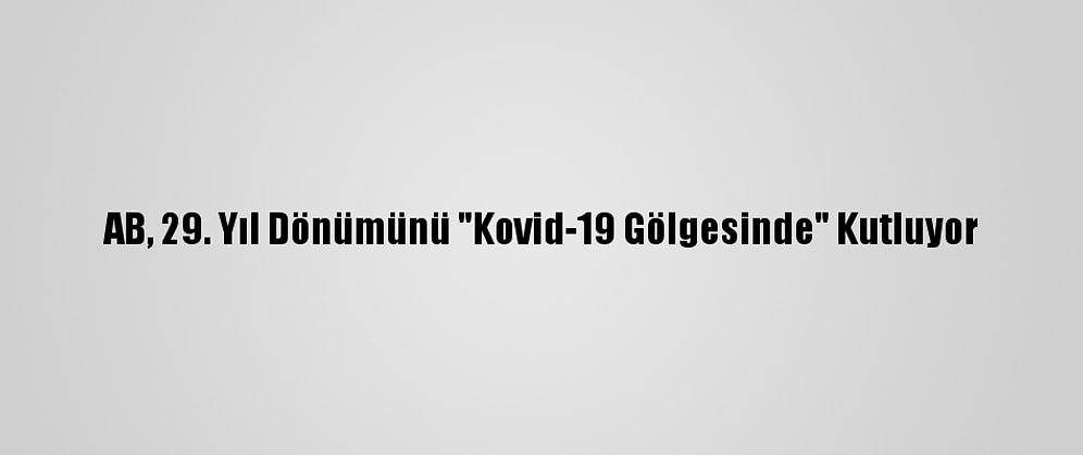 AB, 29. Yıl Dönümünü "Kovid-19 Gölgesinde" Kutluyor