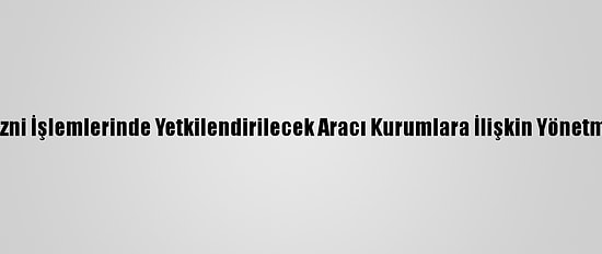 Yabancıların İkamet İzni İşlemlerinde Yetkilendirilecek Aracı Kurumlara İlişkin Yönetmelik Resmi Gazete'de