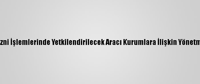 Yabancıların İkamet İzni İşlemlerinde Yetkilendirilecek Aracı Kurumlara İlişkin Yönetmelik Resmi Gazete'de