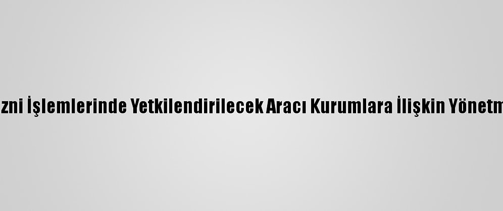 Yabancıların İkamet İzni İşlemlerinde Yetkilendirilecek Aracı Kurumlara İlişkin Yönetmelik Resmi Gazete'de