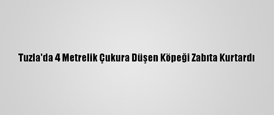 Tuzla'da 4 Metrelik Çukura Düşen Köpeği Zabıta Kurtardı