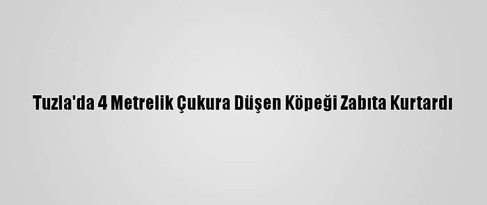 Tuzla'da 4 Metrelik Çukura Düşen Köpeği Zabıta Kurtardı