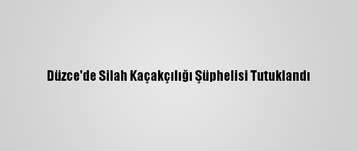 Düzce'de Silah Kaçakçılığı Şüphelisi Tutuklandı