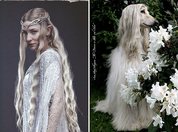 6. Галадриэль