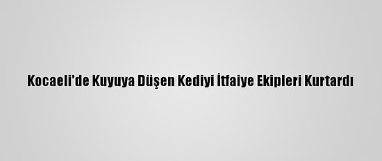 Kocaeli'de Kuyuya Düşen Kediyi İtfaiye Ekipleri Kurtardı