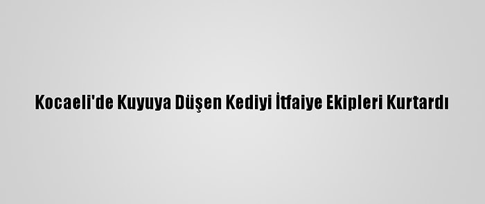 Kocaeli'de Kuyuya Düşen Kediyi İtfaiye Ekipleri Kurtardı