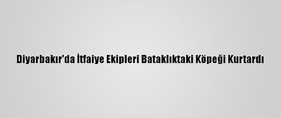 Diyarbakır'da İtfaiye Ekipleri Bataklıktaki Köpeği Kurtardı