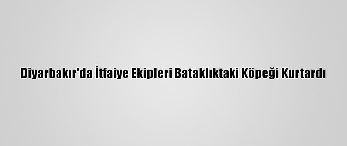 Diyarbakır'da İtfaiye Ekipleri Bataklıktaki Köpeği Kurtardı