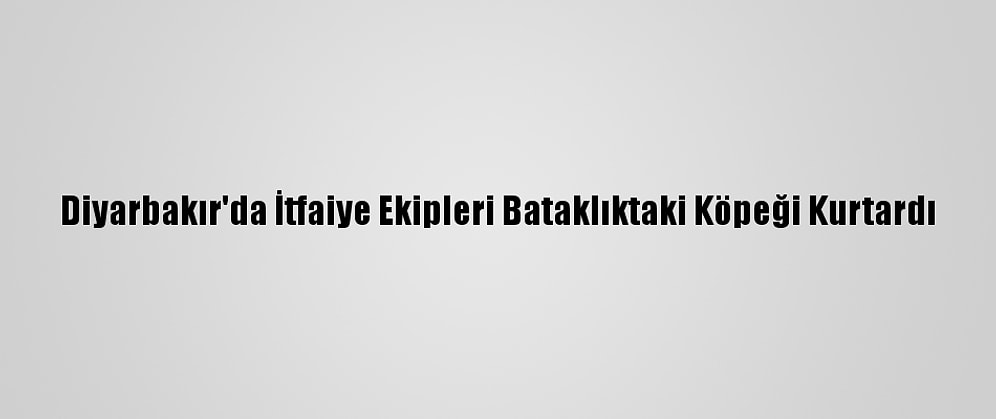 Diyarbakır'da İtfaiye Ekipleri Bataklıktaki Köpeği Kurtardı