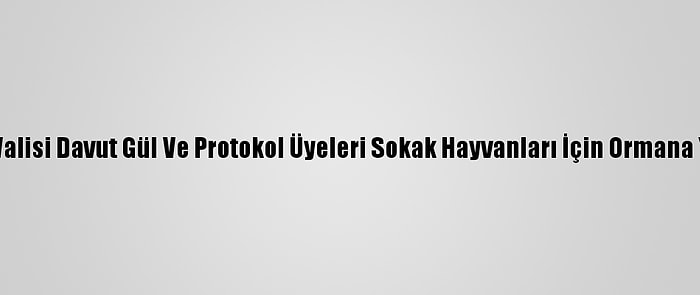 Gaziantep Valisi Davut Gül Ve Protokol Üyeleri Sokak Hayvanları İçin Ormana Yem Bıraktı