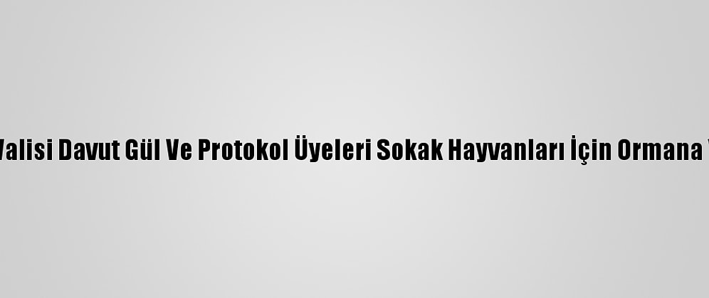 Gaziantep Valisi Davut Gül Ve Protokol Üyeleri Sokak Hayvanları İçin Ormana Yem Bıraktı