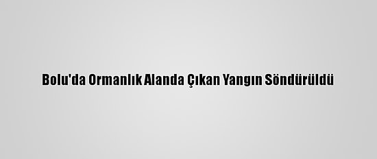 Bolu'da Ormanlık Alanda Çıkan Yangın Söndürüldü