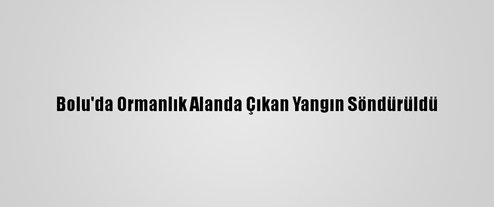 Bolu'da Ormanlık Alanda Çıkan Yangın Söndürüldü