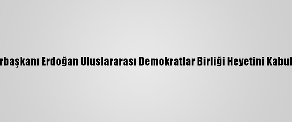 Cumhurbaşkanı Erdoğan Uluslararası Demokratlar Birliği Heyetini Kabul Etti: (2)