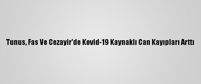 Tunus, Fas Ve Cezayir'de Kovid-19 Kaynaklı Can Kayıpları Arttı