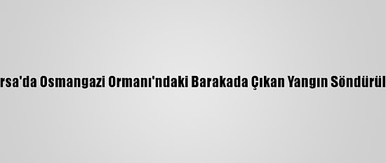 Bursa'da Osmangazi Ormanı'ndaki Barakada Çıkan Yangın Söndürüldü
