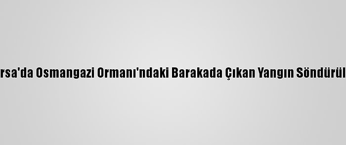 Bursa'da Osmangazi Ormanı'ndaki Barakada Çıkan Yangın Söndürüldü